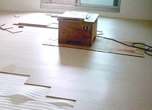 漢納克(防潮防霉)板